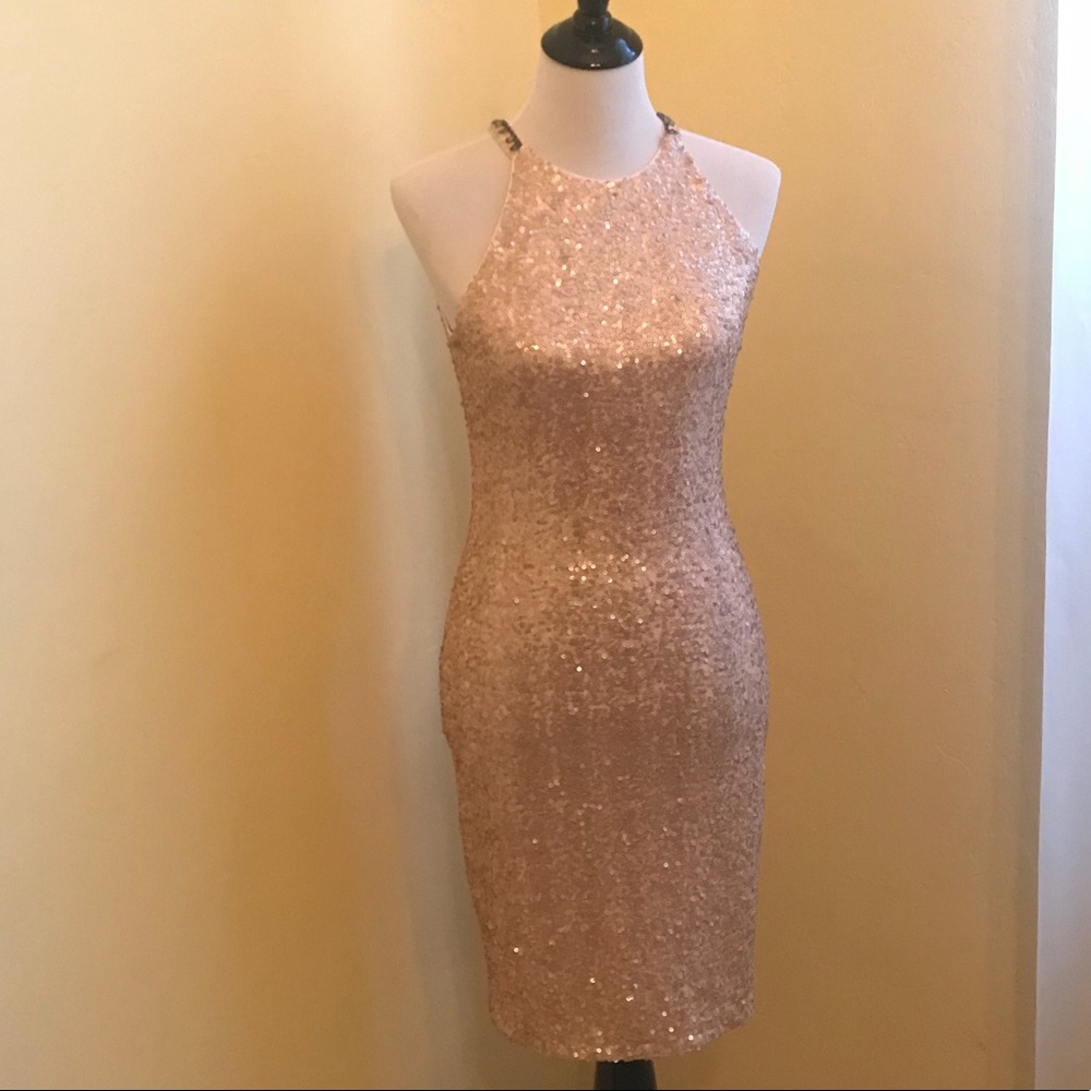 NWT Blush sequin dress by Belle Badgley Mischka